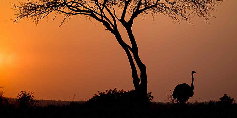 8-Day Tanzania Northern Circuit: Amazing Wildlife