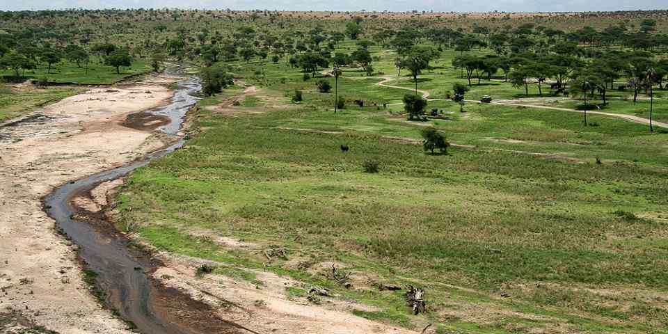 7-Day The Best of Tanzania