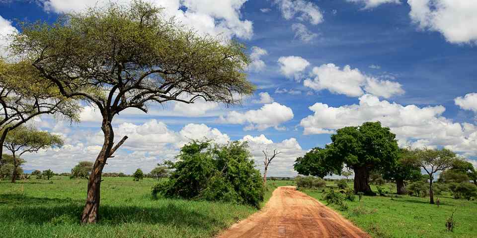 7-Day Luxury Adventure in Tanzania