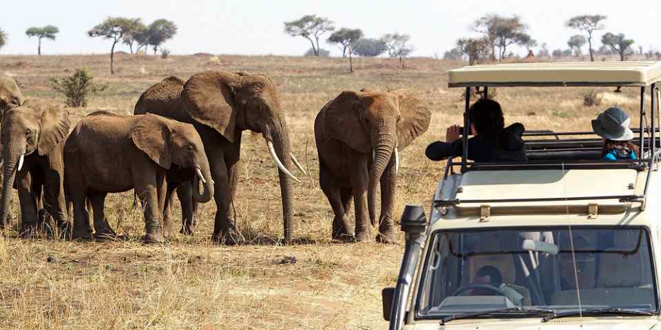 SafariBookings: Compare 10,962 African Safari Holidays