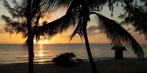 4-Day Serengeti Highlights Safari from Zanzibar