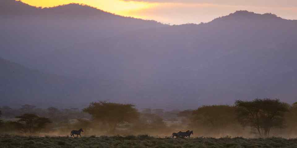 7-Day Luxury Northern Tanzania Prestige Safari