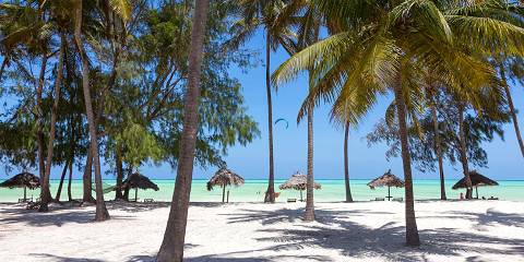 9-Day Tanzania Safari & Zanzibar Beach Escape
