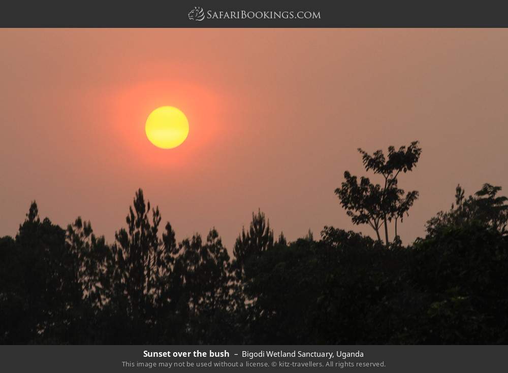 Sunset over the bush in Bigodi Wetland Sanctuary, Uganda