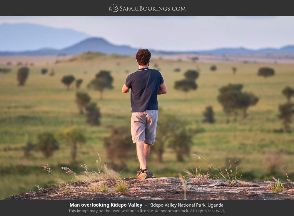 Man overlooking Kidepo Valley in Kidepo Valley National Park, Uganda