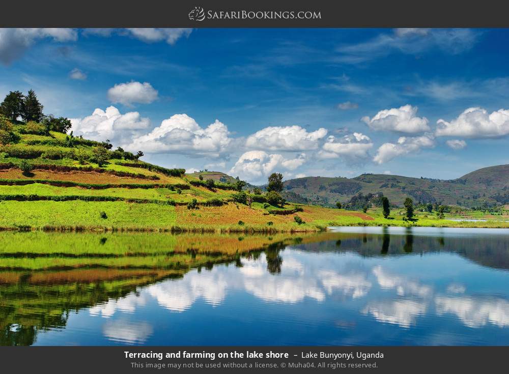 Terracing and farming on the lake shore in Lake Bunyonyi, Uganda