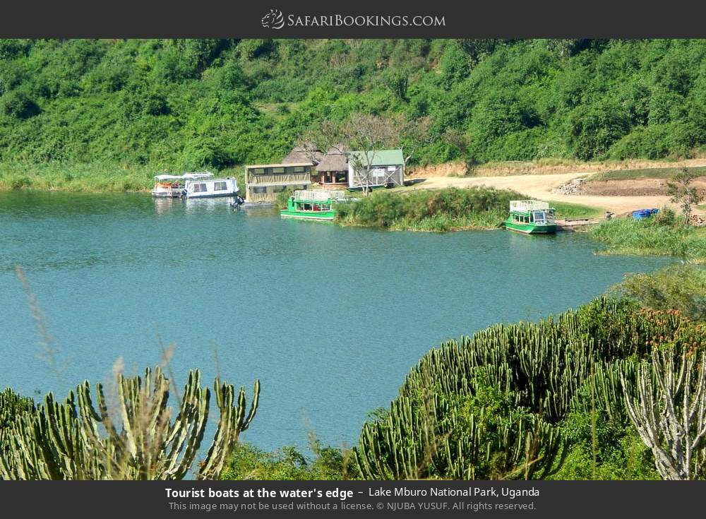 Tourist boats at the water's edge in Lake Mburo National Park, Uganda