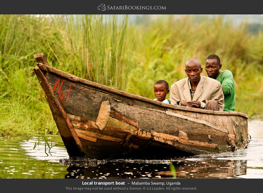 Local transport boat in Mabamba Swamp, Uganda