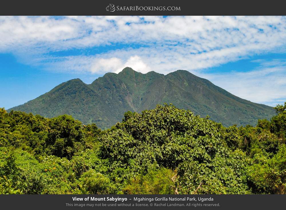 View of Mt Sabyinyo in Mgahinga Gorilla National Park, Uganda