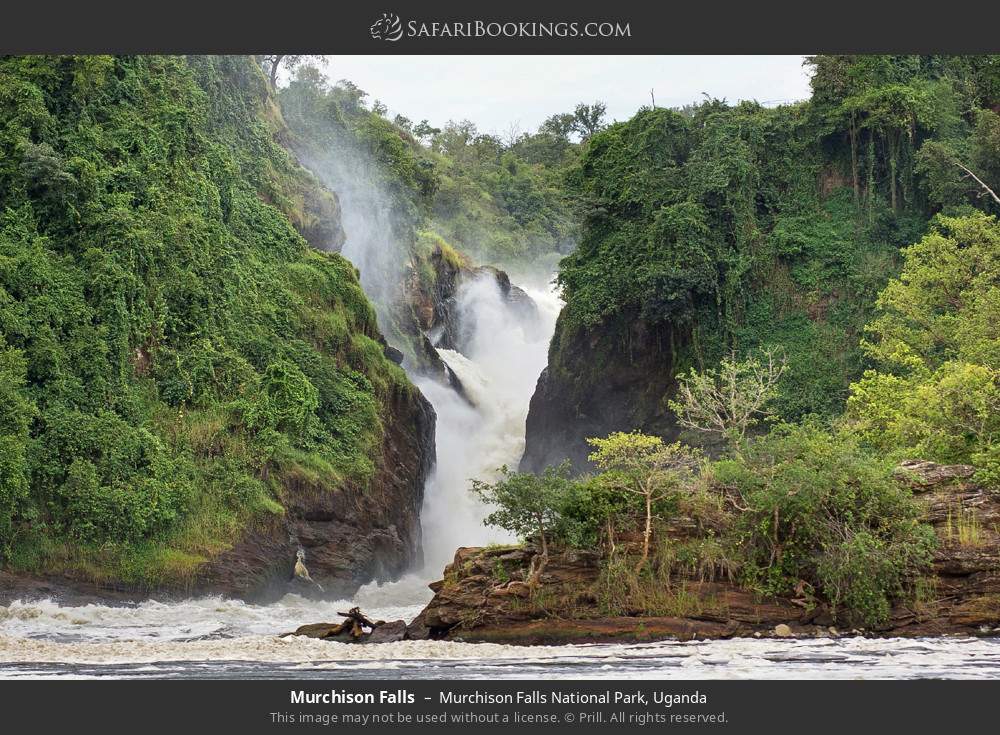 Murchison Falls in Murchison Falls National Park, Uganda