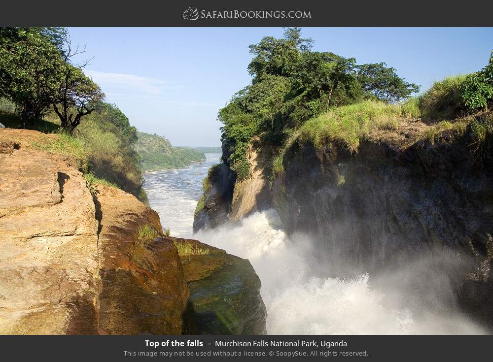 Top of the falls in Murchison Falls National Park, Uganda