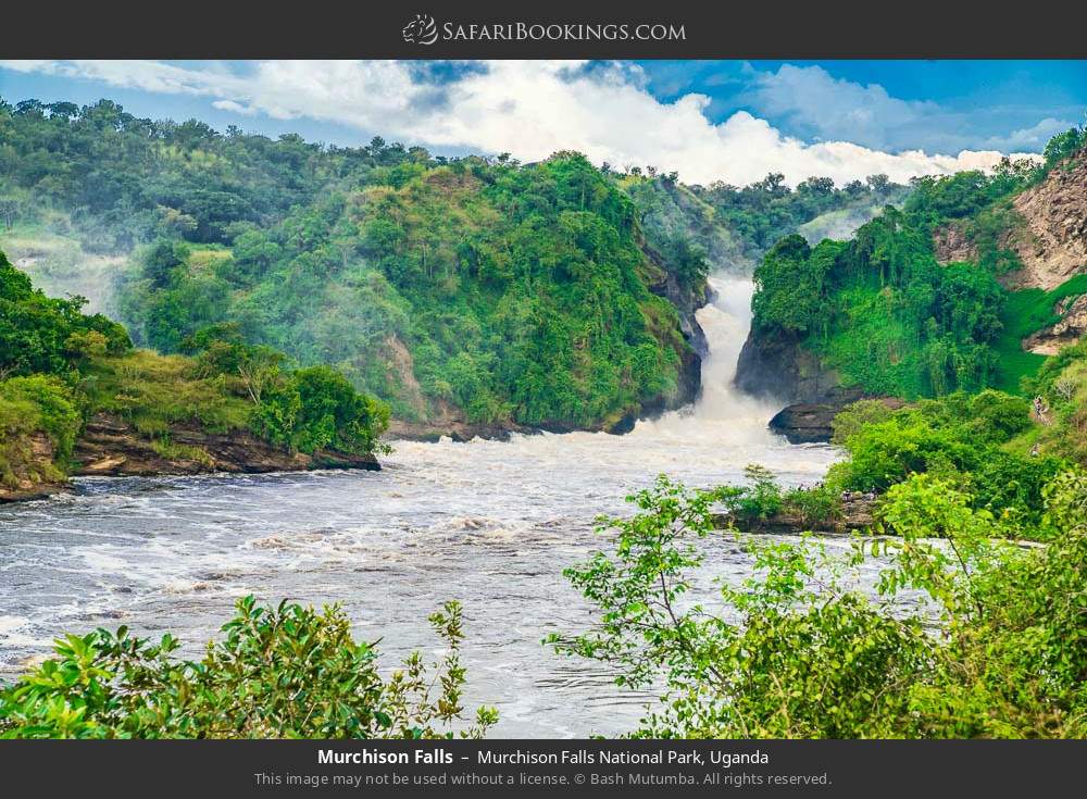 Murchison Falls in Murchison Falls National Park, Uganda