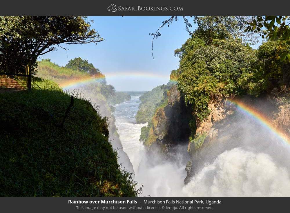 Rainbow over Murchison Falls in Murchison Falls National Park, Uganda