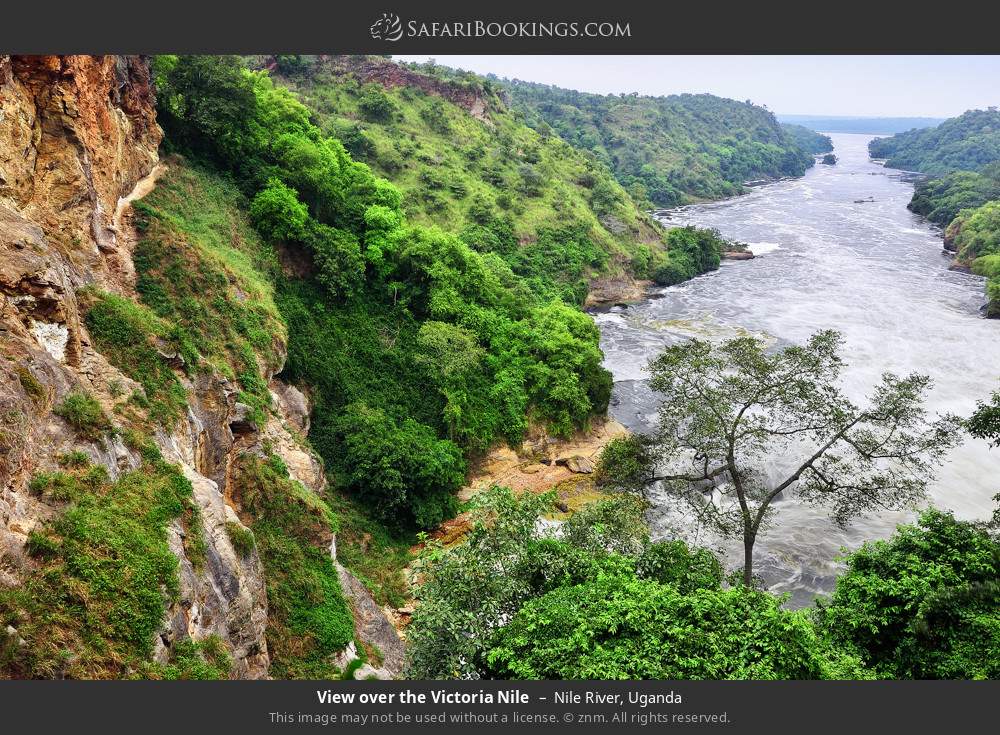 View over the Victoria Nile in Nile River, Uganda