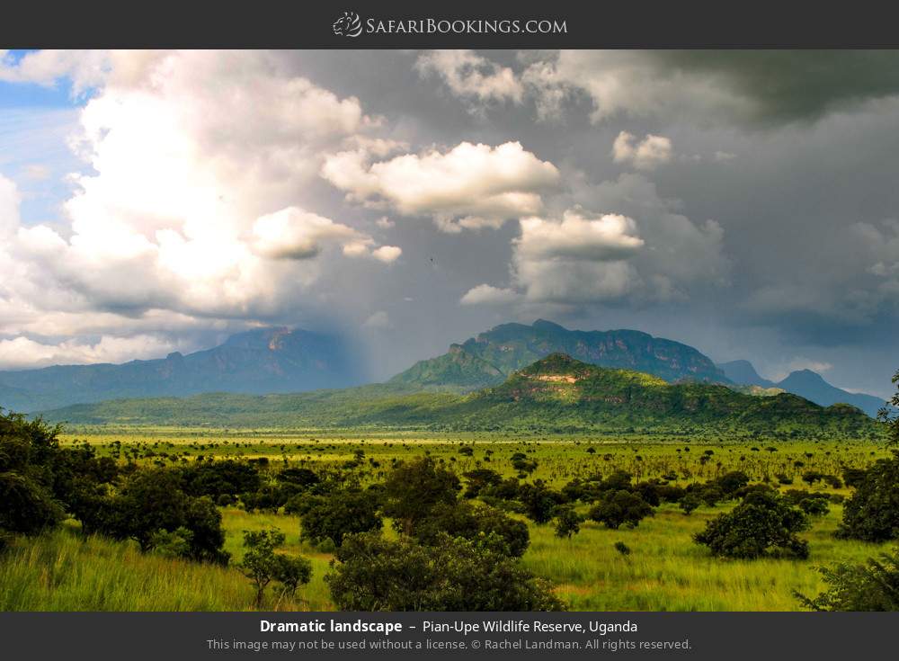 Dramatic landscape in Pian Upe Wildlife Reserve, Uganda