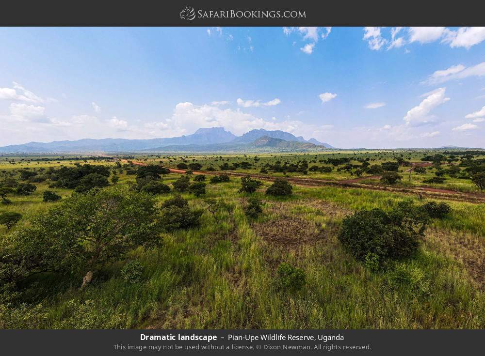 Dramatic landscape in Pian Upe Wildlife Reserve, Uganda