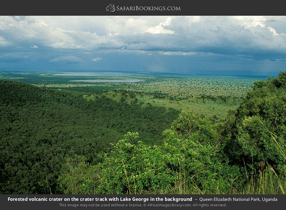 Forested volcanic crater on the crater track with Lake George in the background in Queen Elizabeth National Park, Uganda