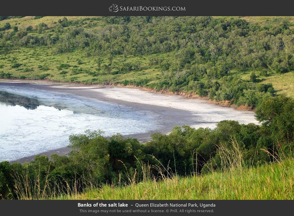 Banks of the salt lake in Queen Elizabeth National Park, Uganda