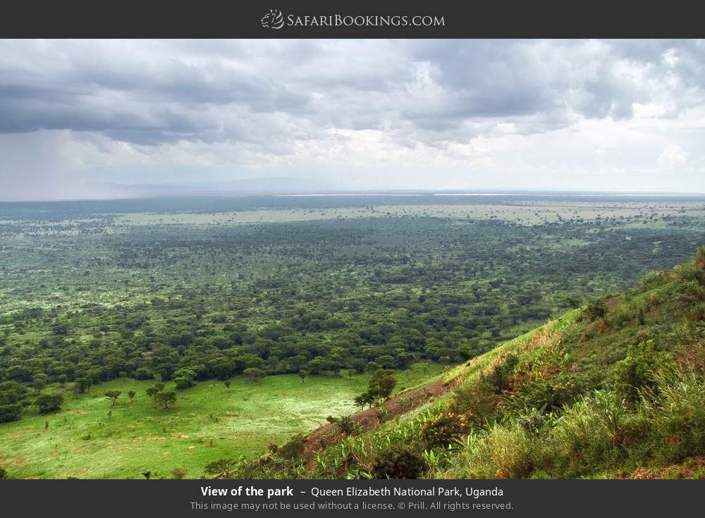 View of the park in Queen Elizabeth National Park, Uganda