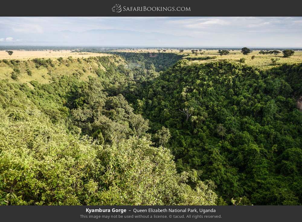 Kyambura Gorge in Queen Elizabeth National Park, Uganda