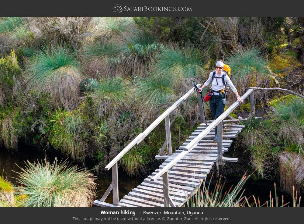 Woman hiking in Rwenzori Mountain, Uganda