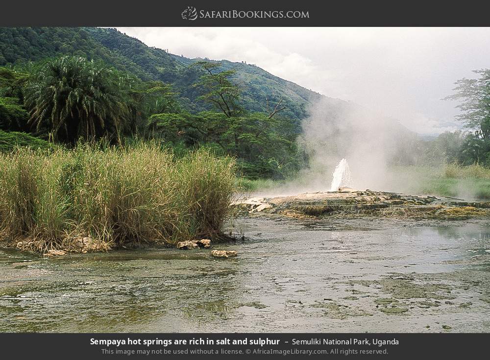 Sempaya Hot Springs in Semuliki National Park, Uganda