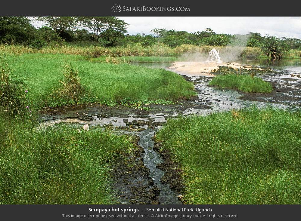 Sempaya Hot Springs in Semuliki National Park, Uganda