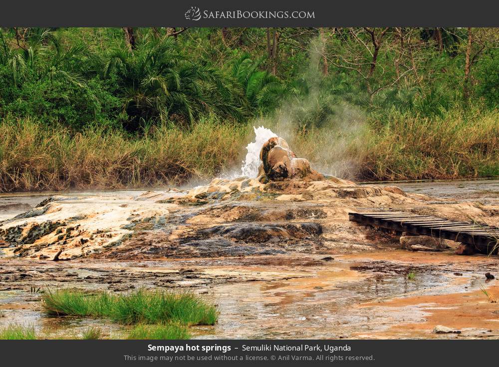 Sempaya Hot Springs in Semuliki National Park, Uganda