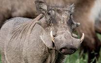 Katonga National Park