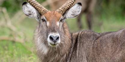 Katonga National Park