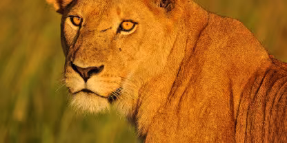 Kidepo Valley National Park