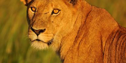 Kidepo Valley National Park