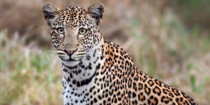 Lake Mburo National Park