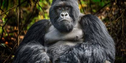 Uganda