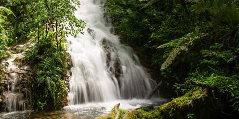 10-Day Uganda Highlights