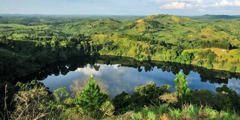 Uganda Safari Wildlife Gorilla & Chimps Adventure