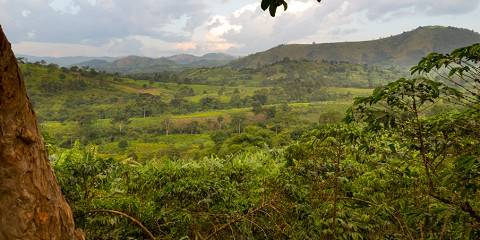 12-Day Explore the Best of Uganda' S Wilderness Gems