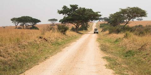 3-Day Queen Elizabeth Classic Safari & Chimpanzees