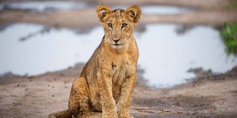 5-Day Budget Trip Uganda