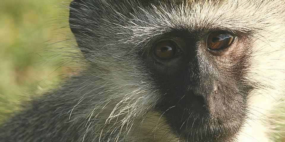 3-Day Refreshing Your Mind in Murchison Falls NP