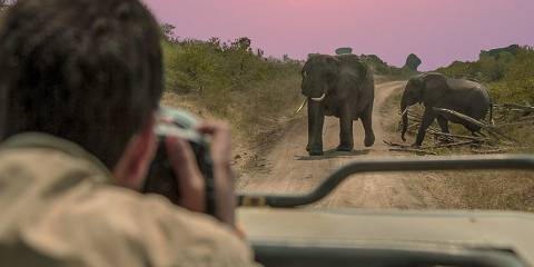 8-Day Mabamba Swamp Gorilla Tracking and Game Safari