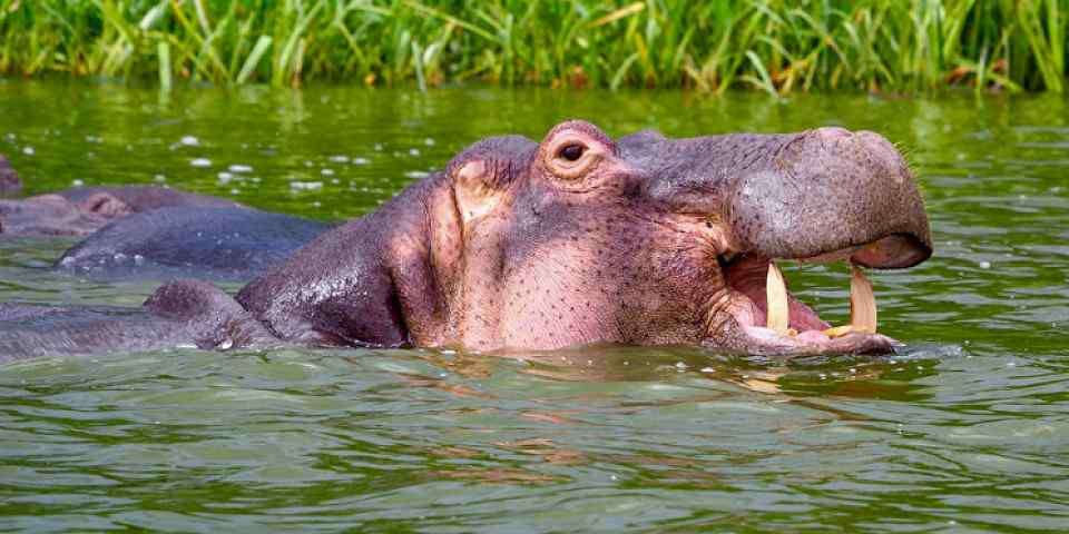 3-Day Lake Mburo National Park Tour