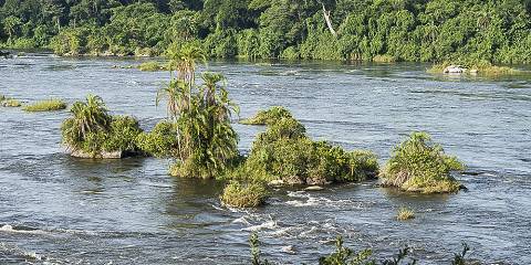 Kayaking and Bungee Jumping on the River Nile Tour