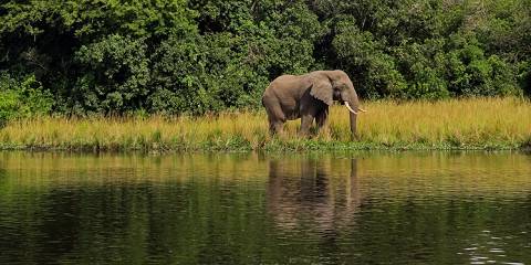 10 days uganda rwanda safaris