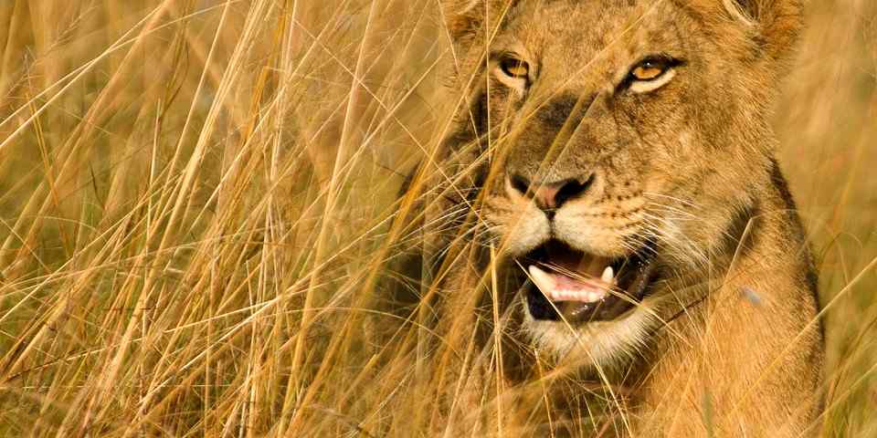 8-Day All-Inclusive Vacation Package