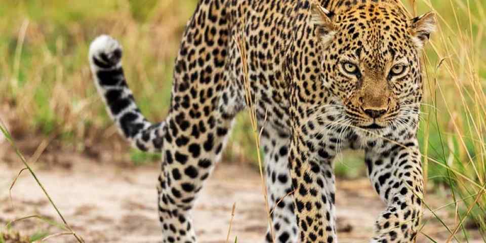 2-Day Queen Elizabeth Trip