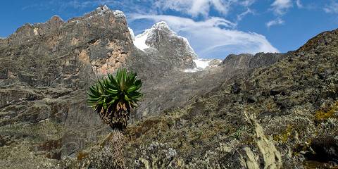 9-Day Rwenzori Central Circuit
