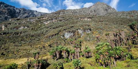 6-Day Mutinda Lookout Safari