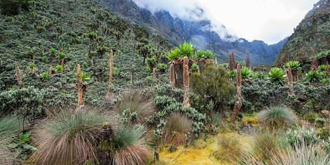 6-Day Mt Elgon Hiking and Jinja Nile Rafting