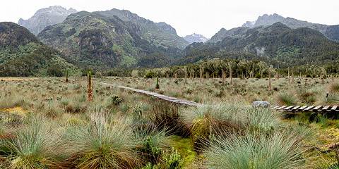 13-Day Trekking Rwenzori Mountain and the Gorillas